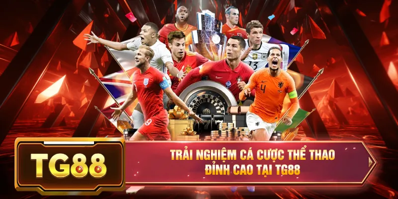 Trang cá cược bóng đá uy tín tg88